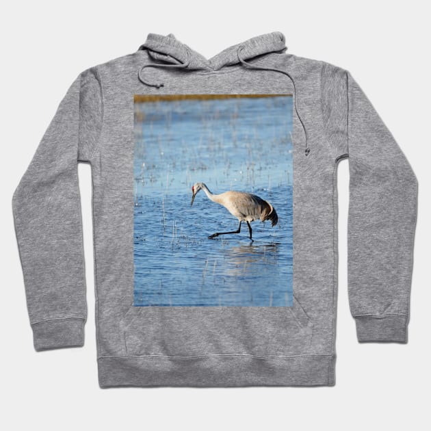 Sandhill Crane Wading thru Malheur NWR Hoodie by DeniseBruchmanPhotography